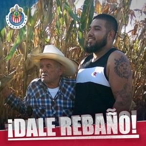 Meet your Posher, Rene osvaldo